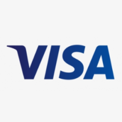 336-3364024_visa-logo-png-visa-money-bags-tanktop